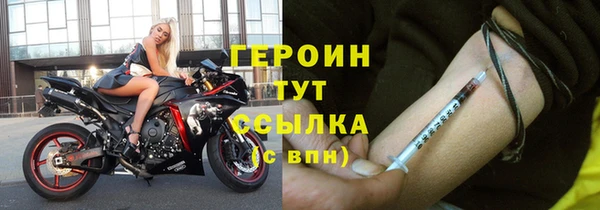гидра Богородск