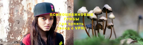 бошки Белокуриха