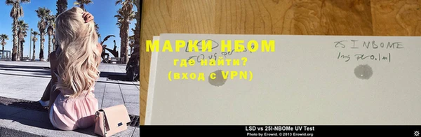 бошки Белокуриха