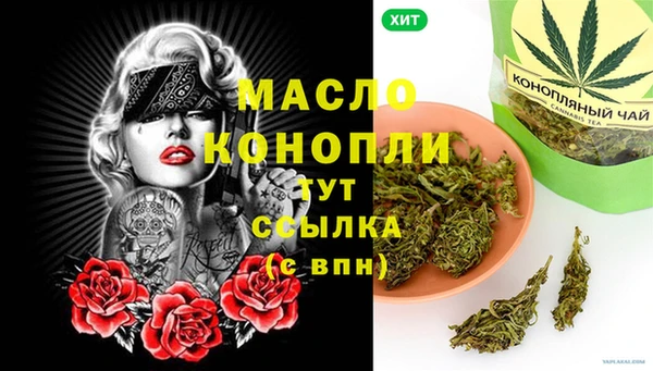 гидра Богородск
