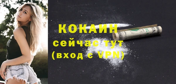 бошки Белокуриха