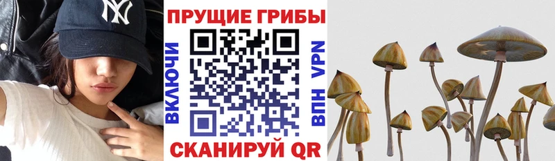 Галлюциногенные грибы мухоморы  Няндома 